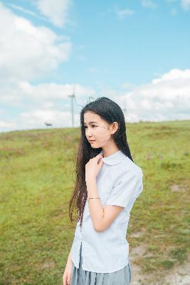 护心电视剧免费观看全集在线播放