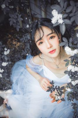 精英律师电视剧全集免费观看