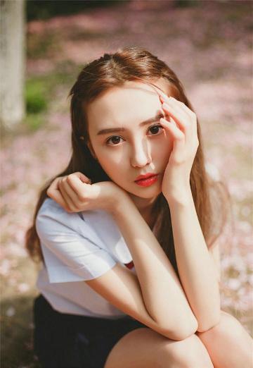 精英律师电视剧全集免费观看