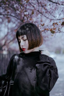 八戒八戒电影在线看免费观看完整版