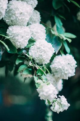 遇见王沥川电视剧免费观看全集