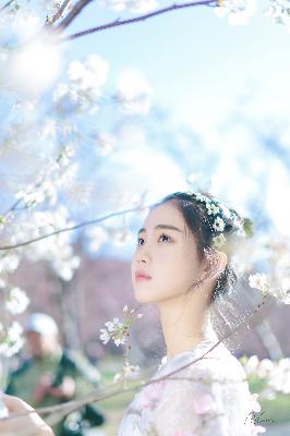 完美世界在线观看免费播放