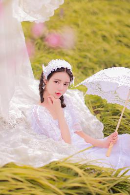 树下有片红房子电视剧免费观看全集