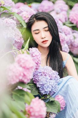 正阳门下电视剧全集免费观看