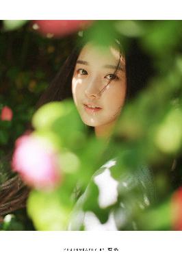 城中之城电视剧免费观看全集