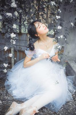 韩国免费观看高清电视剧熊出没