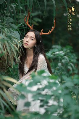 回复术士之重启人生在线观看免费完整版飘雪