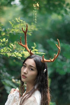 影视大全免费追剧