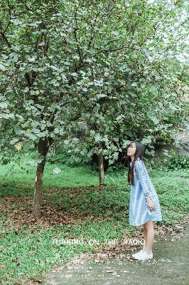 名侦探柯普通话免费观看
