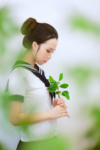 青楼十二房在线观看免费版电视剧全集