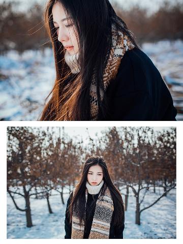 免费的网站域名查询