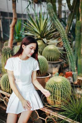 高压监狱在线观看