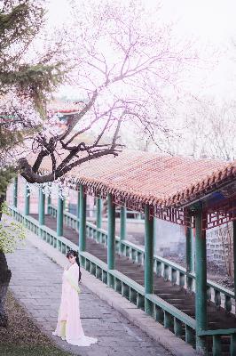 好好生活电视剧免费观看完整版