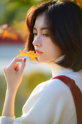 最近热播的电视剧有哪些