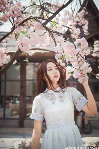 国产少女在线观看全集电视剧动漫