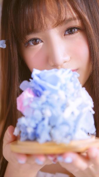 动漫免费观看在线播放高清版