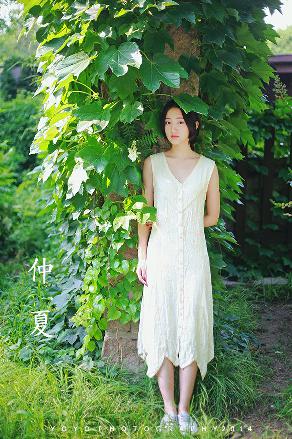 延禧攻略电视剧免费完整版在线观看