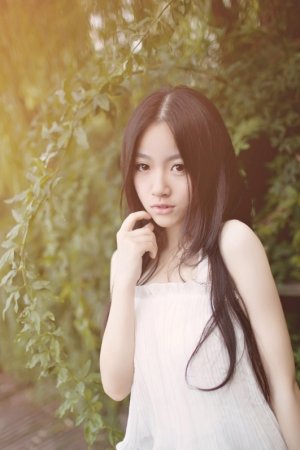 入青云电视剧免费观看全集完整版