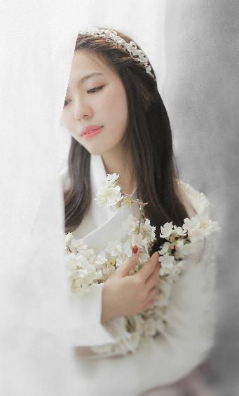 窝窝影院在线观看免费高清电视剧下