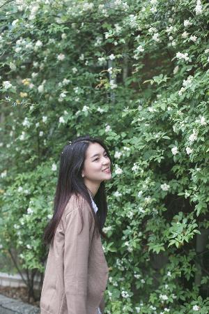 2026新澳正版资科免费实