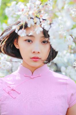 俄罗斯引擎YANDEX进入