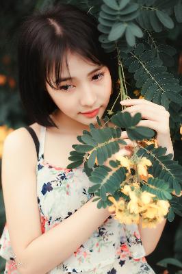 春潮烂漫海棠红在线观看完整版电视剧免费