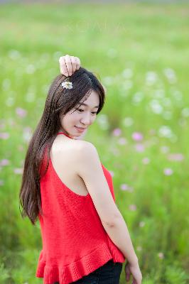 红果剧场电视剧大全